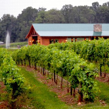 Gioia dell Amore Cellars