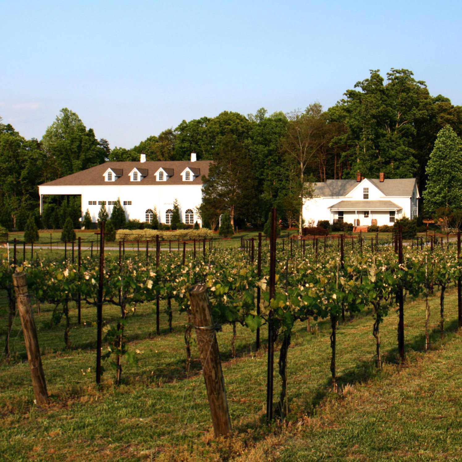 Stonefield Cellars