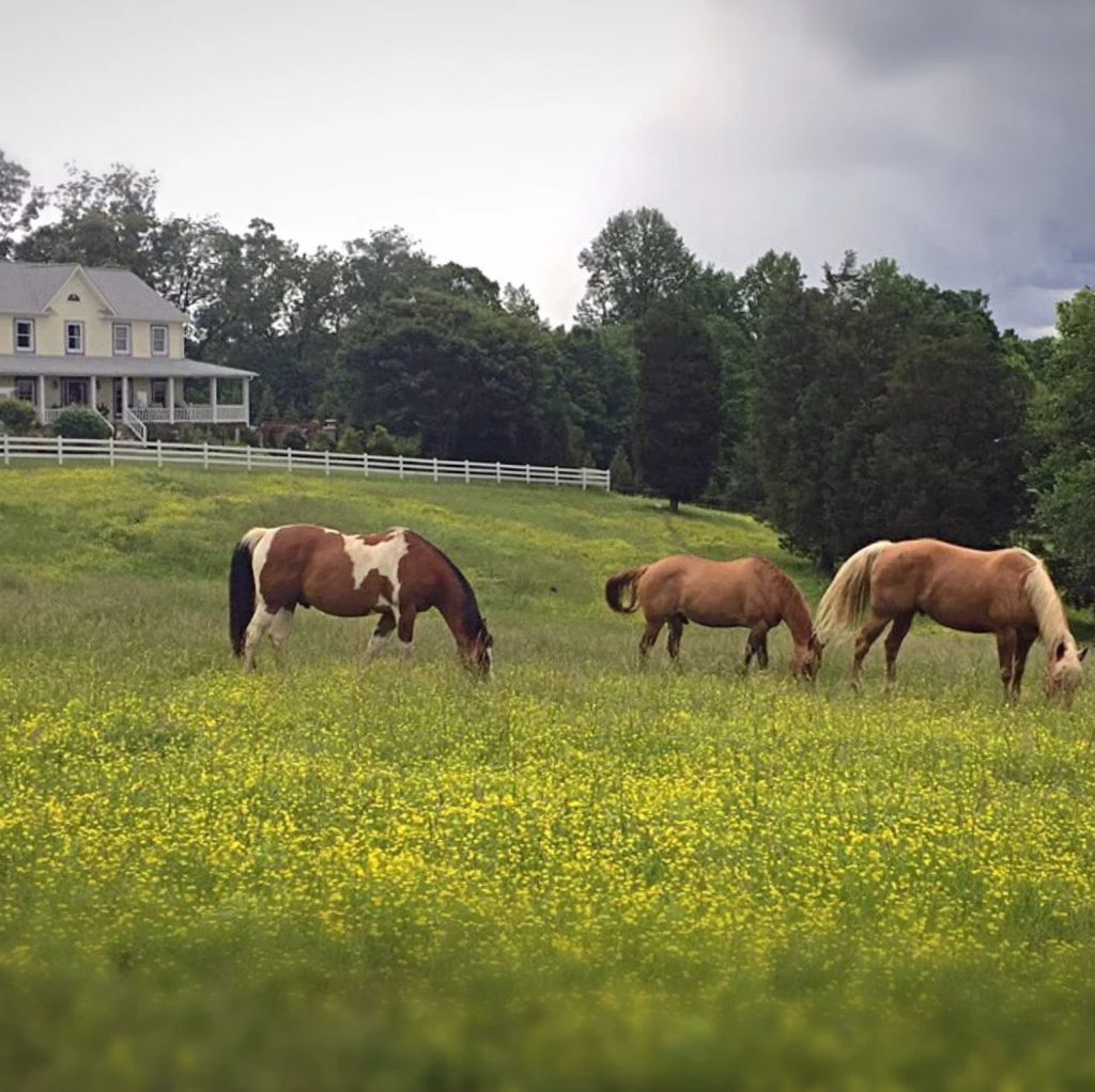 Dewberry Farm