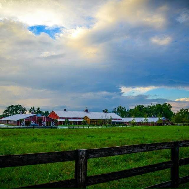 Shooting Star Horse Farm